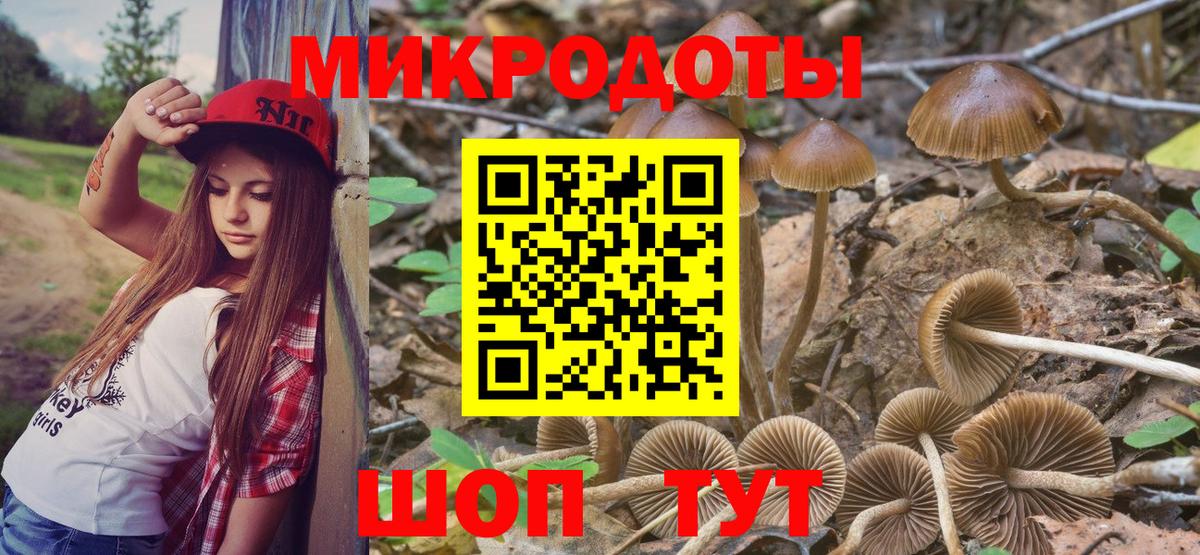 Псилоцибиновые грибы Magic Shrooms Губкинский